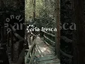 Download Lagu Monte Avic - Agosto 2025 - Parco Naturale #aesthetic #nature
