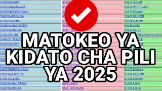  form two results 2025 how to see necta form two results 