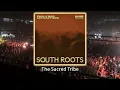 Faul & Wad, Les Castizos - South Roots (Extended Mix) - #afrohouse #thesacredtribe