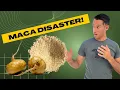Download Lagu The Worst Maca Experience EVER!