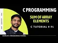 Sum of Array Elements in C Programming Using Function In Hindi