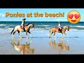 Come with us to the beach