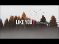 LIKE YOU/ lyrics/Tatiana Manaois