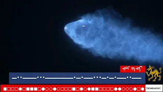 الياس المالكي صاروخ ف ر ط ص و ط ي 