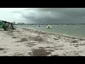 Dunedin red tide
