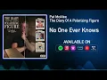 No One Ever Knows | The Diary Of A Polarizing Figure