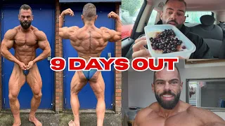 THE FINAL DIG TO GET SHREDDED