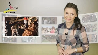                                      دندنها