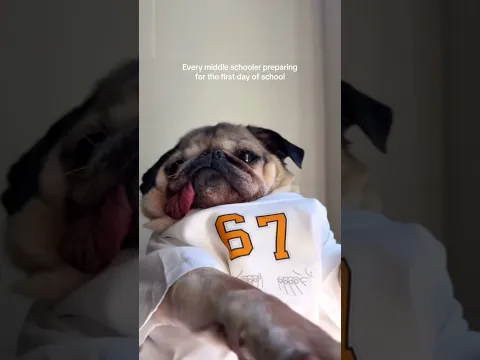 Does this make me cool? #67 #pug #dougthepug