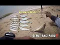 Download Lagu Mancing pantai waktu ombak keruh + kasar⁉️Tak sangka banyak gelama Besar‼️ Otai Jekpot ikan mega..!!