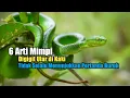 Download Lagu 6 Arti Mimpi Digigit Ular di Kaki, Tidak Selalu Menunjukkan Pertanda Buruk