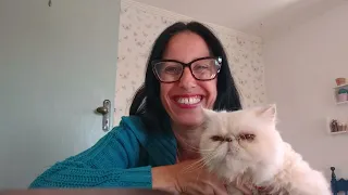 O que  esta acontecendo com o Canal Meu Deus meu tudo
