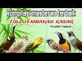 Download Lagu Masteran Tembakan Kasar || Materi Mewah Untuk Isian Burung Lomba - Suara Jernih