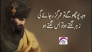 sad urdu poetry best urdu poetry collection sad hindi shayari rj shan ali two line poetry