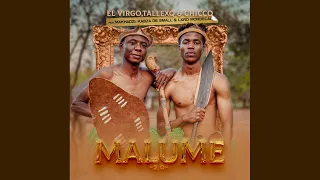 Elvirgo, TallexQ \u0026 Chicco - Malume 2.0 (Official Audio) ft. Makhadzi, Kabza De Small \u0026 Lxrd Mordecai