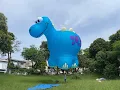 Special Shape RC Hot Air Balloon Steggy the Dino-Soar