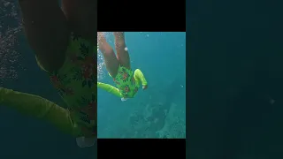 This is what happens to a 4 year old who grows up on the water 👧 🐠🧜‍♀️ #boatkid