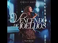 Vencendo de Joelhos (Playback)