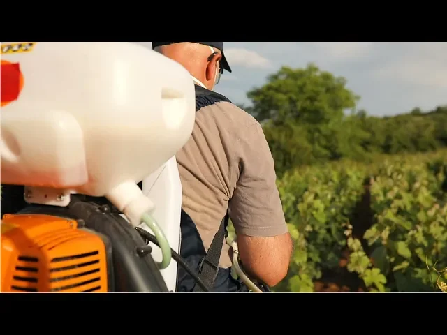 Pesticide Handlers, Sprayers, and Applicators, Vegetation