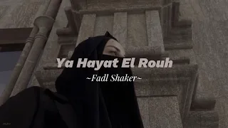 Download Ya Hayat El Rouh - (speed up) MP3