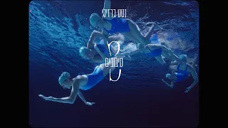 נטע ברזילי - סיבובים