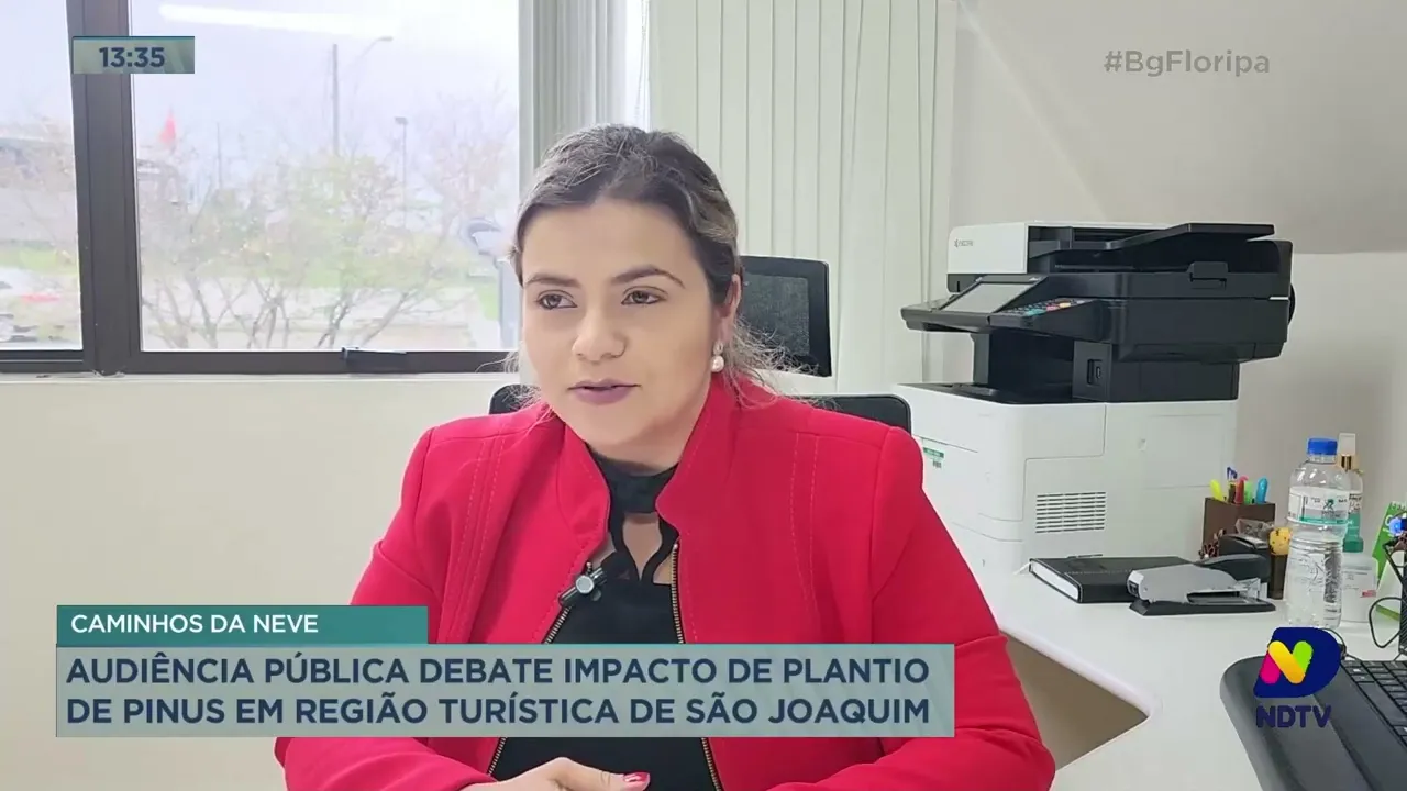 Caminhos da Neve: audiência pública debate plantio de Pinus em região turística de São Joaquim