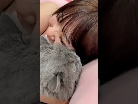 夜中にすっぴんで鳩のモノマネで愛猫を呼ぶ娘ww