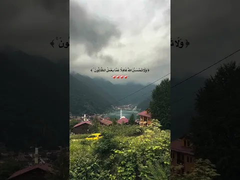 اسمع وريح سمعك الدقيقة.💚