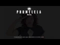 Download Lagu MissPru DJ - Phumelela Ft Amanda Black, Saudi, Sjava, Sindi, A-Reece, Fifi Cooper \u0026 Emtee (AUDIO)