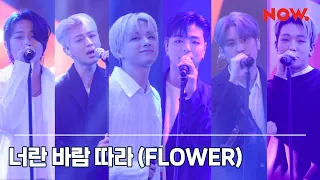 Download 아이콘 iKON - 너란 바람 따라 (FLOWER) [LIVE] / 아이콘 스페셜쇼 왜왜왜  Why Why Why MP3
