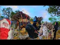 Download Lagu Gathering firewood in the Zagros Mountains by nomadic women 🌲🔥🏔️