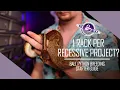 Ball Python Breeding Starter Guide How Much Space is Needed to Work a Recessive Project