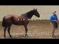 Ask Monty Sign Up for a Course Today