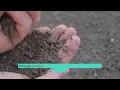 8 Nitrogen Cycle Processes
