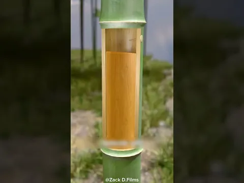 কীভাবে বাঁশের ভেতর প্রাকৃতিক মদ তৈরি করে | How to make natural wine from bamboo