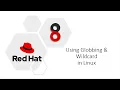 Learn Globbing Wildcard in Linux - Quicker Than Having Cup of Coffee