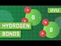Hydrogen Bonds Explained in Less than 2 Minutes