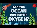 Can the ocean run out of oxygen - Kate Slabosky