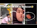 Lagu TRY NOT TO LAUGH ‼️ FUNNY VIDEO 🤣 KUMPULAN VIDEO ORANG NGANTUK BIKIN NGAKAK