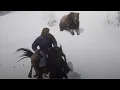 red dead redemption 2 the aftermath of genesis