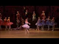 DON QUIXOTE - Dulcinea Variation Olesya Novikova