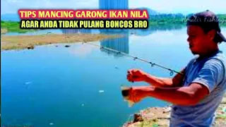 tips mancing garong ikan nila u0026 waktu paling tepat agar tidak gagal strike bro