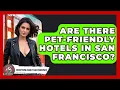 Are There Pet-Friendly Hotels in San Francisco - Everything About San Francisco