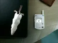 Cingular 2006 Television Commercial - Pantech Flip Phone