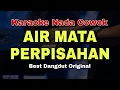 Download Lagu AIR MATA PERPISAHAN - TOMMY J PISSA || KARAOKE DANGDUT ORIGINAL (NADA COWOK)