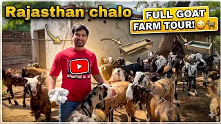 Rasathan se bakre lene chalte hai || bakra mandi || @Bull.Rider-Vlogs