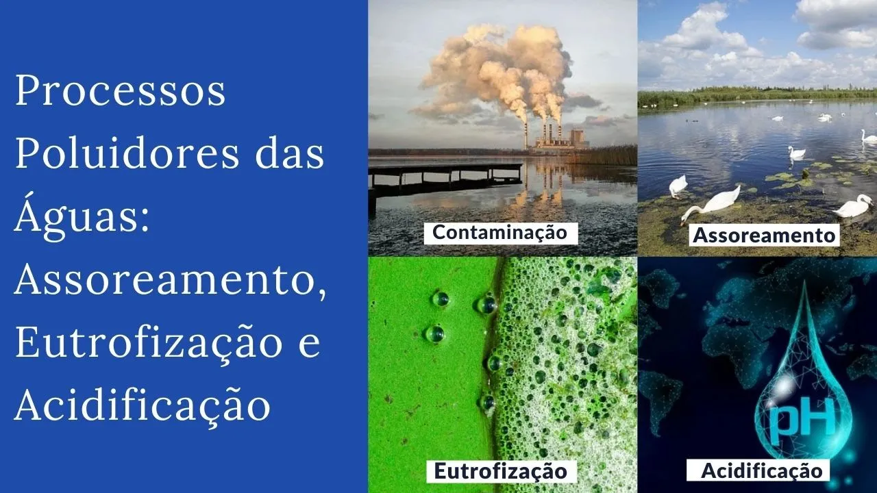 Processos Poluidores das Águas: Assoreamento, Eutrofização e Acidificação