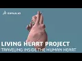 The Living Heart Project: Traveling Inside a Human Heart