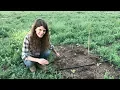 Field Notes Soil Temperature