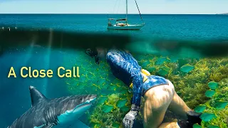 Living In Shark Waters On Our Sailboat (Great White Territory)